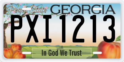 GA license plate PXI1213