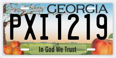 GA license plate PXI1219