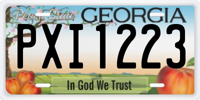 GA license plate PXI1223