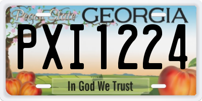 GA license plate PXI1224