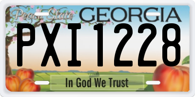 GA license plate PXI1228