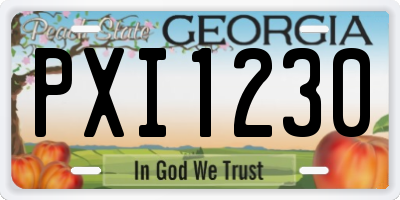 GA license plate PXI1230