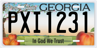 GA license plate PXI1231