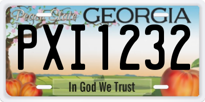 GA license plate PXI1232