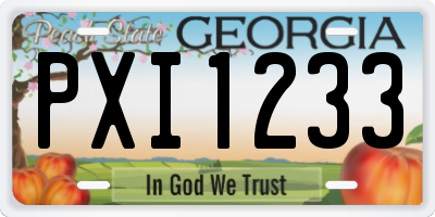GA license plate PXI1233