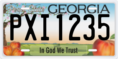 GA license plate PXI1235