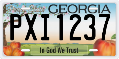 GA license plate PXI1237