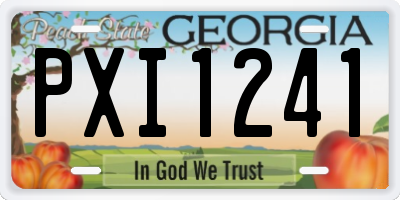 GA license plate PXI1241
