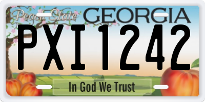 GA license plate PXI1242