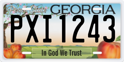 GA license plate PXI1243