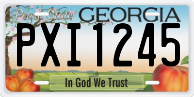 GA license plate PXI1245