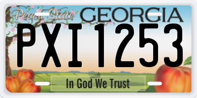 GA license plate PXI1253