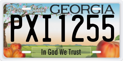 GA license plate PXI1255