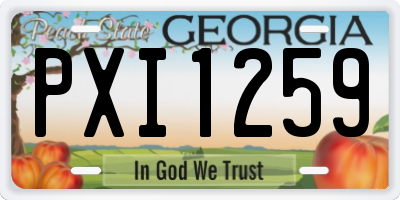 GA license plate PXI1259