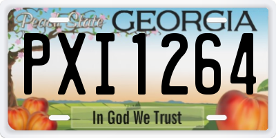 GA license plate PXI1264