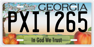 GA license plate PXI1265