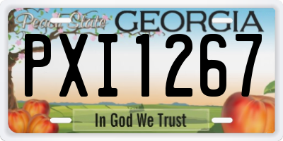 GA license plate PXI1267