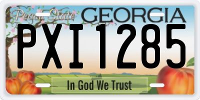 GA license plate PXI1285