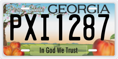 GA license plate PXI1287