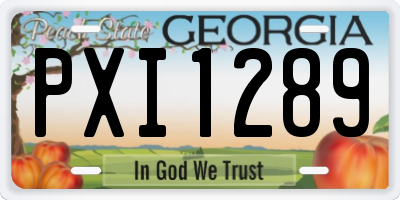 GA license plate PXI1289