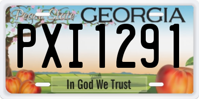 GA license plate PXI1291