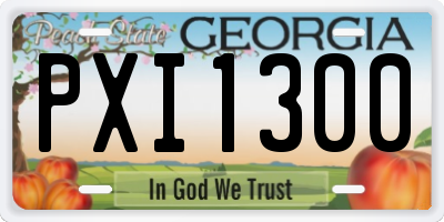 GA license plate PXI1300
