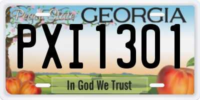 GA license plate PXI1301
