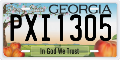 GA license plate PXI1305