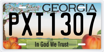 GA license plate PXI1307
