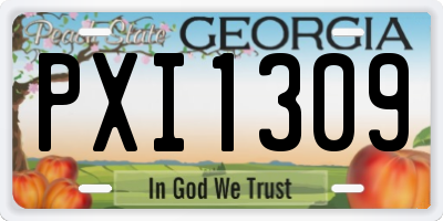 GA license plate PXI1309