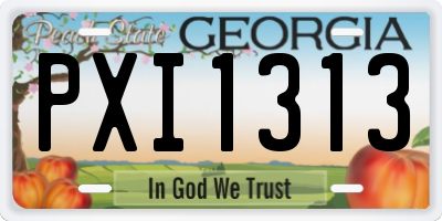GA license plate PXI1313