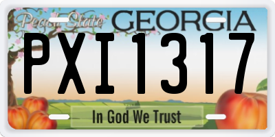 GA license plate PXI1317