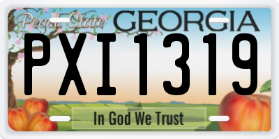 GA license plate PXI1319