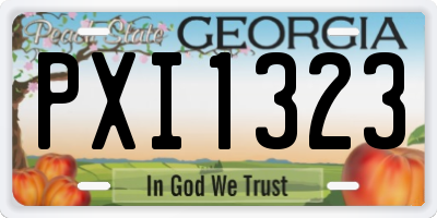 GA license plate PXI1323