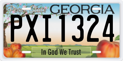 GA license plate PXI1324
