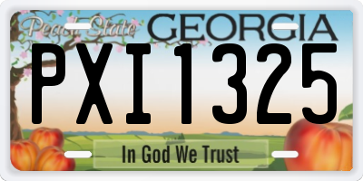 GA license plate PXI1325