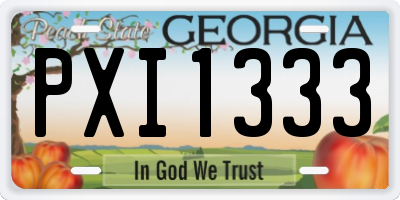GA license plate PXI1333