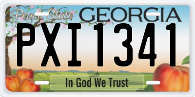 GA license plate PXI1341