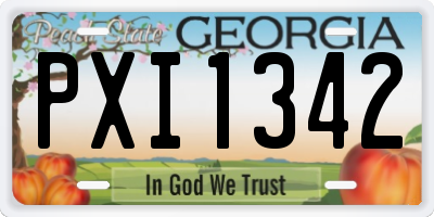 GA license plate PXI1342