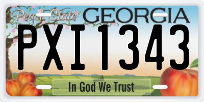 GA license plate PXI1343