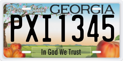 GA license plate PXI1345