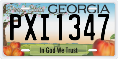 GA license plate PXI1347