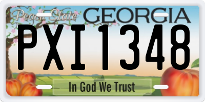 GA license plate PXI1348