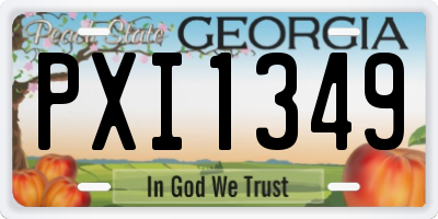 GA license plate PXI1349