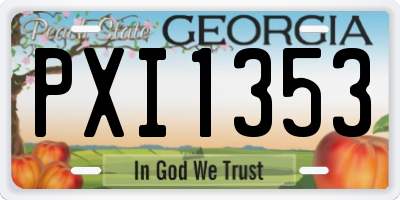 GA license plate PXI1353