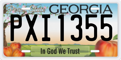 GA license plate PXI1355