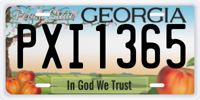 GA license plate PXI1365