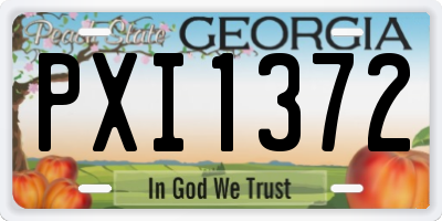 GA license plate PXI1372