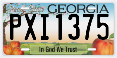 GA license plate PXI1375