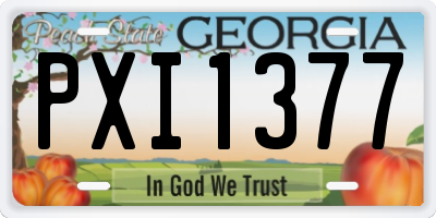 GA license plate PXI1377